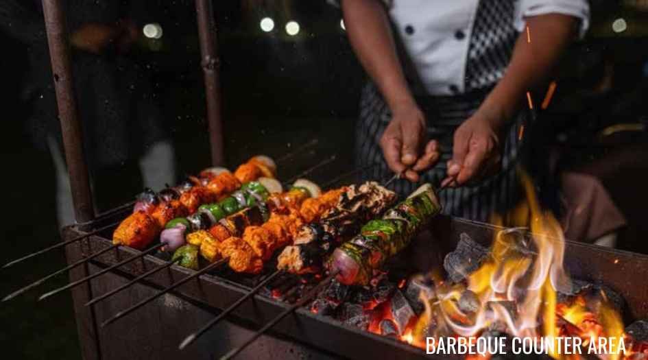 Kohinoor-Riverdale-barbeque-counter-area